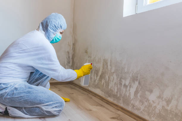 Licensed Crawl Space Mold Removal service in Fairfield, TX - WQB Mold Removal