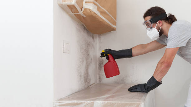 Professional Crawl Space Mold Removal technician working in Fairfield, TX