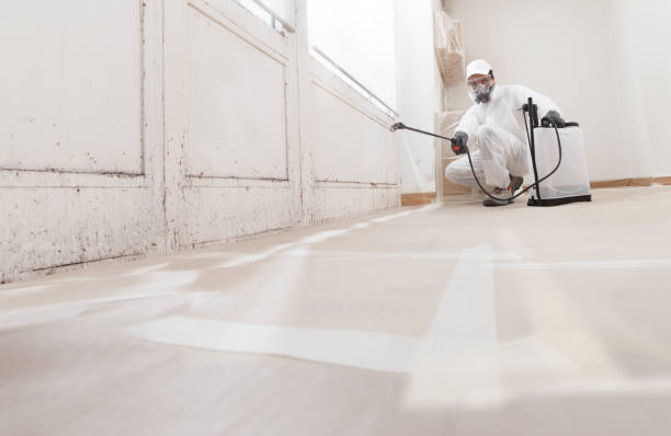 24/7 Emergency Crawl Space Mold Removal experts in Fairfield, TX