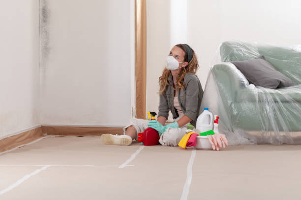 Reliable Crawl Space Mold Removal contractor in Fairfield, TX by WQB Mold Removal